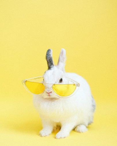 Adorable bunny wearing yellow sunglasses against a vibrant yellow backdrop, exuding cool and humorous vibes.